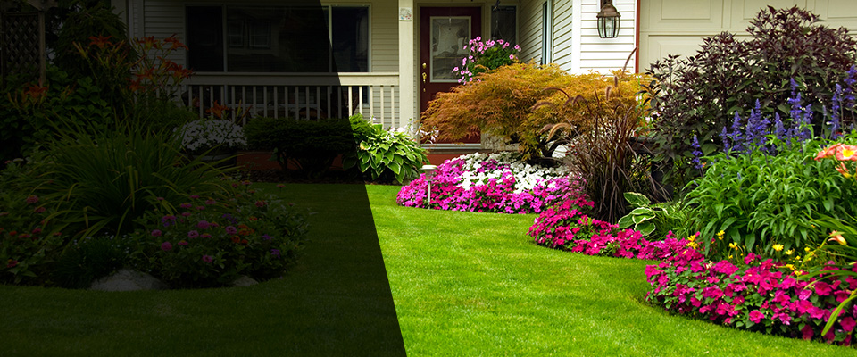 Pittsboro Landscapers