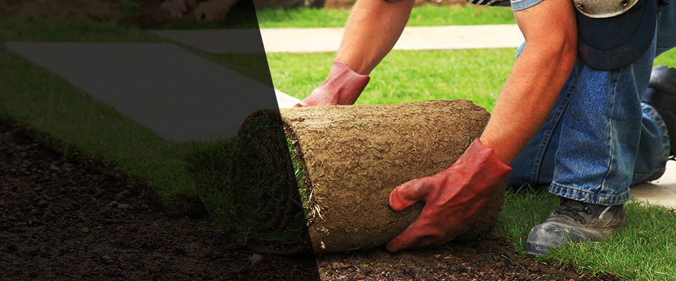 Pittsboro Landscapers